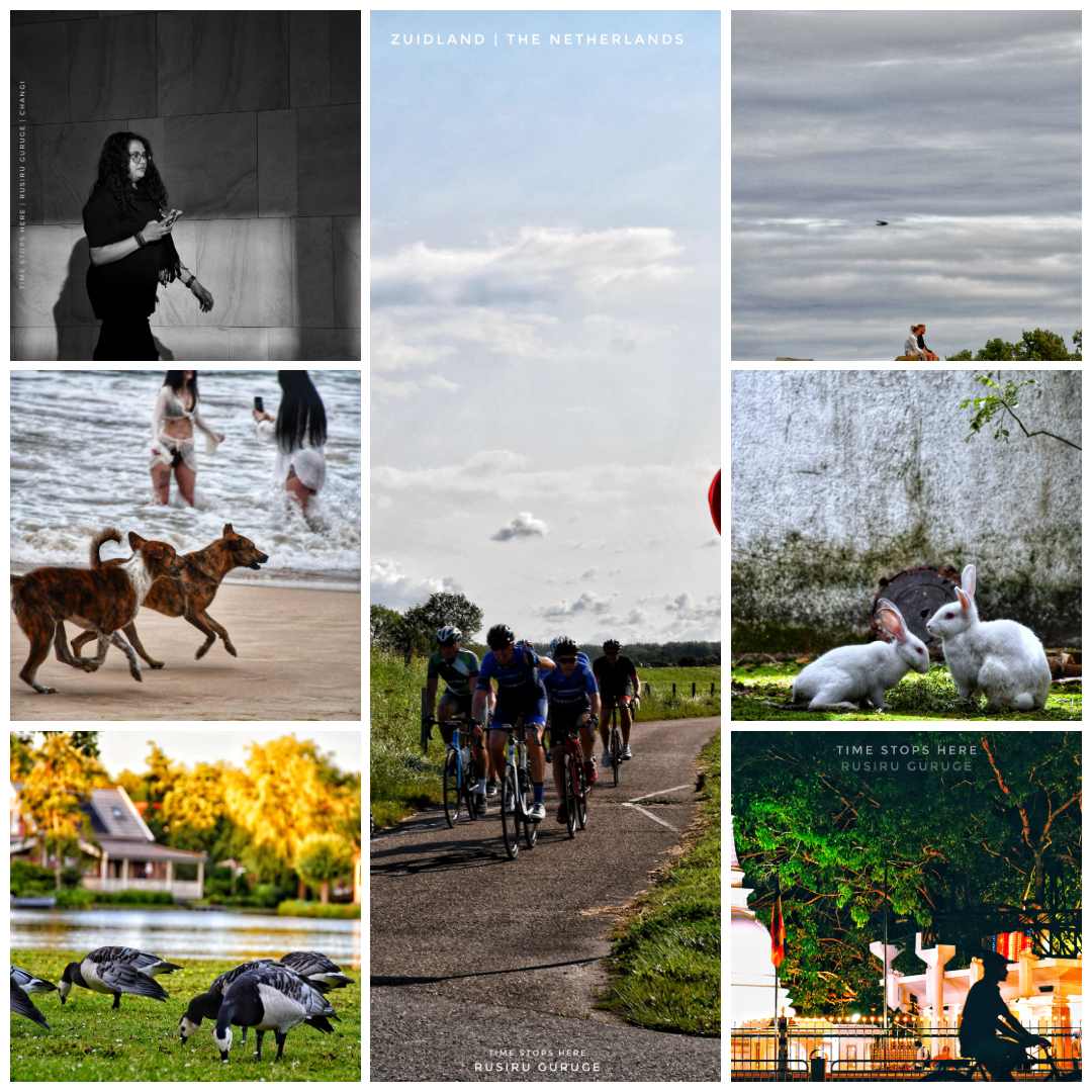 Photography by Rusiru Guruge